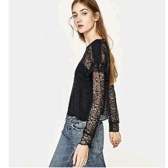 Zara Top Womens Small Midnight Blue Cropped Lace Ruffle Sheer Fairy Whimsigoth - Picture 2 of 11